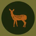 This is the logo of wildlife guide blog called 'Best Wild Animal Safari"