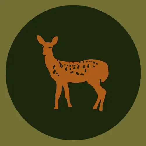 This is the logo of wildlife guide blog called 'Best Wild Animal Safari"