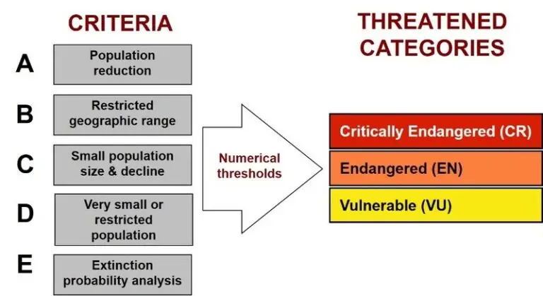 This image describes the assessment criteria of wild animals by the IUCN red list