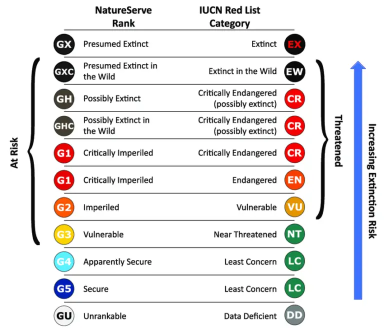 IUCN Red List Categories